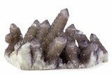 Sparkling Smoky Amethyst Cactus Crystal Cluster - South Africa #373460-1